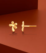 Daisy Glow Gold Tops