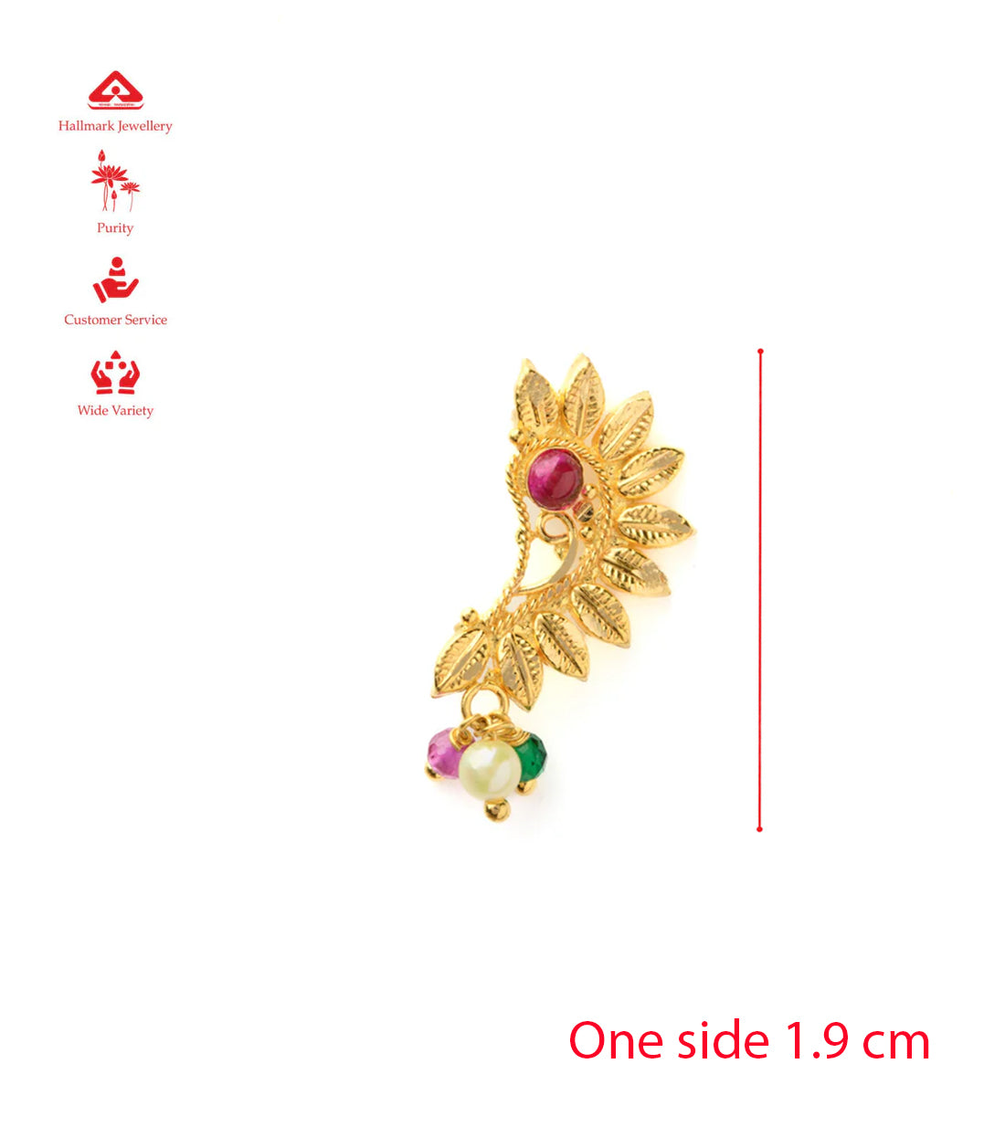 PNG Son's Pointed Petals Gold Nath (Pierce) – Gadgil